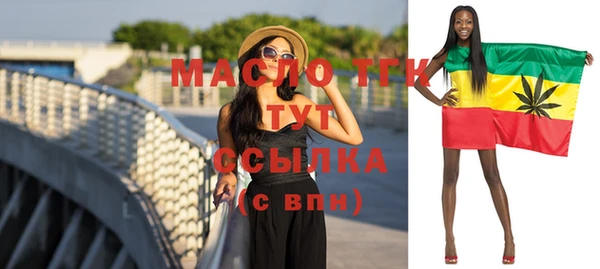 хмурый Аркадак