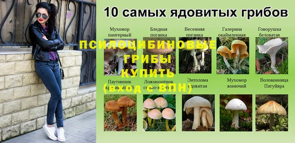 винт Осинники