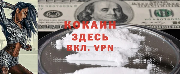 дурь Арсеньев