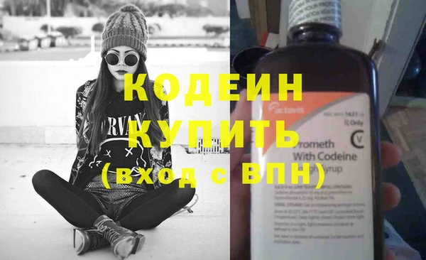 хмурый Аркадак