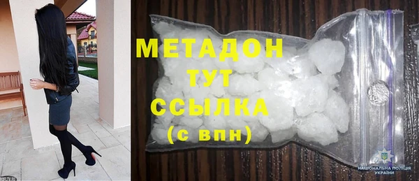 хмурый Аркадак