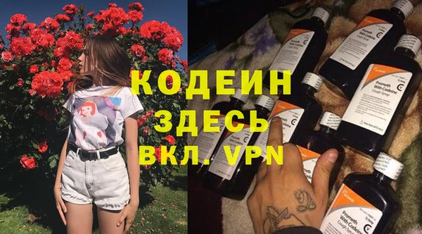 хмурый Аркадак