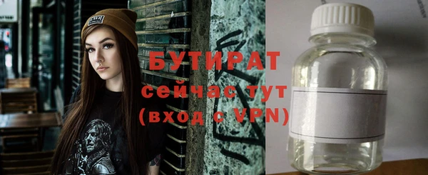 хмурый Аркадак