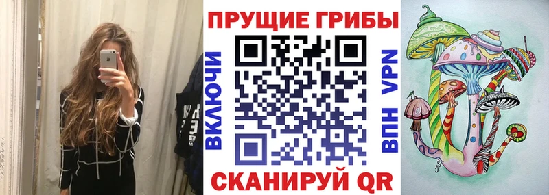 Псилоцибиновые грибы MAGIC MUSHROOMS  где купить наркоту  Салаир 